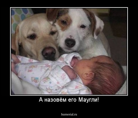 А назовём его Маугли!