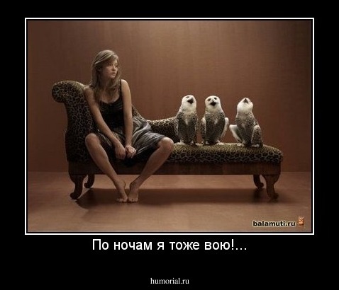 По ночам я тоже вою!...