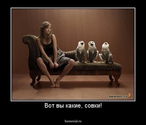 Вот вы какие, совки!