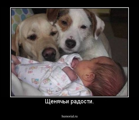 Щенячьи радости.