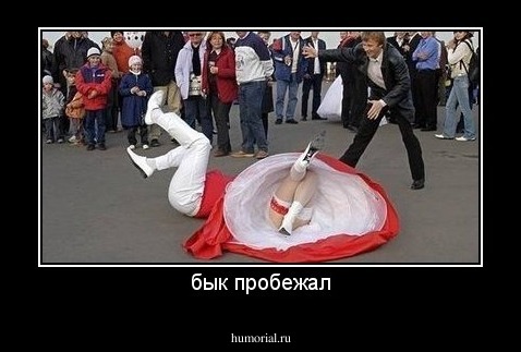бык пробежал