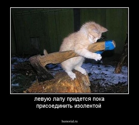 левую лапу придется пока присоединить изолентой