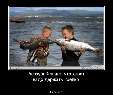 беззубый знает, что хвост надо держать крепко