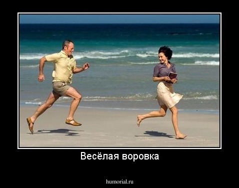 Весёлая воровка