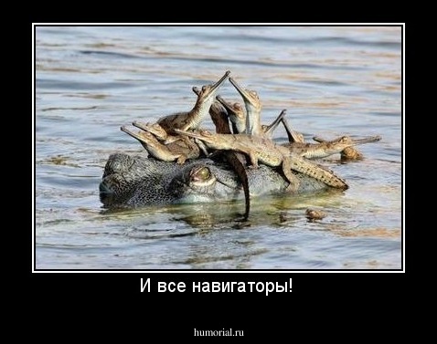 И все навигаторы! 