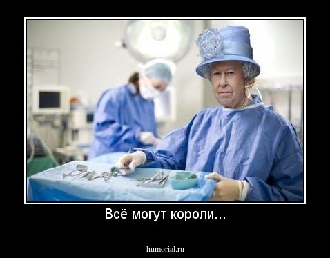 Всё могут короли...