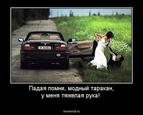Падая помни, модный таракан, у меня тяжелая рука!