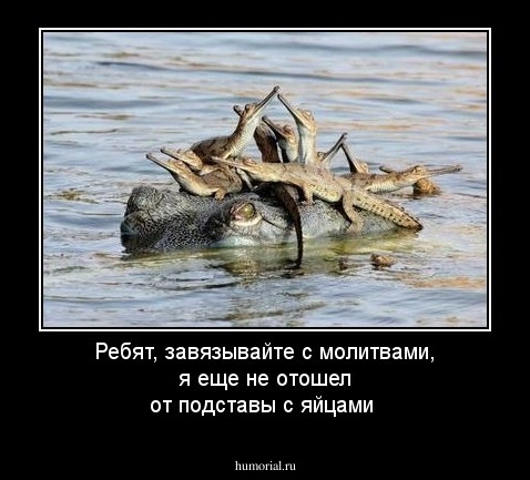 Ребят, завязывайте с молитвами, я еще не отошел от подставы с яйцами