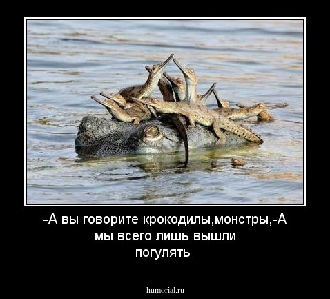 -А вы говорите крокодилы,монстры,-А мы всего лишь вышли погулять