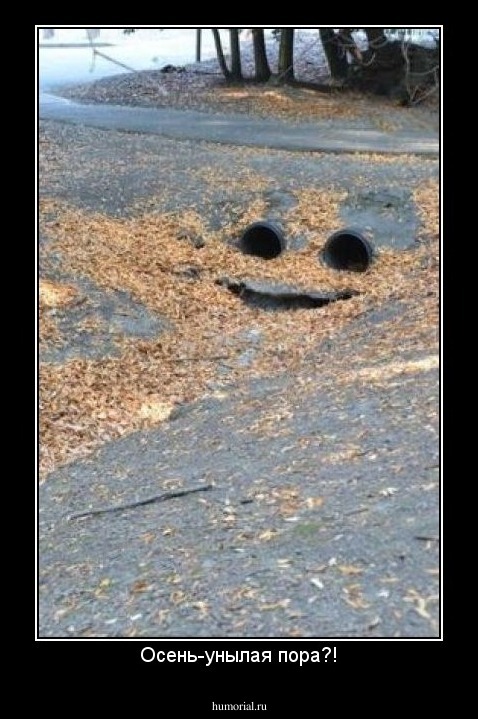 Осень-унылая пора?!