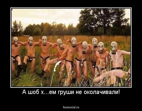 А шоб х...ем груши не околачивали!