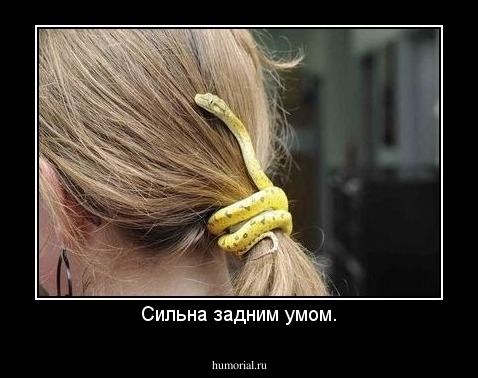 Сильна задним умом.