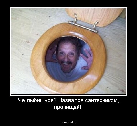 Че лыбишься? Назвался сантехником, прочищай!