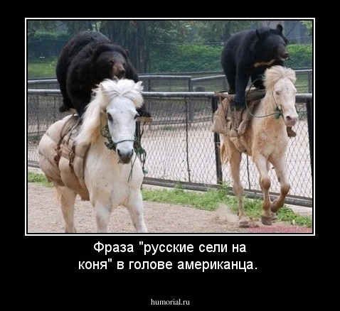 Фраза "русские сели на коня" в голове американца.
