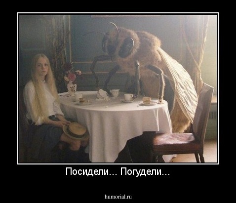 Посидели... Погудели...