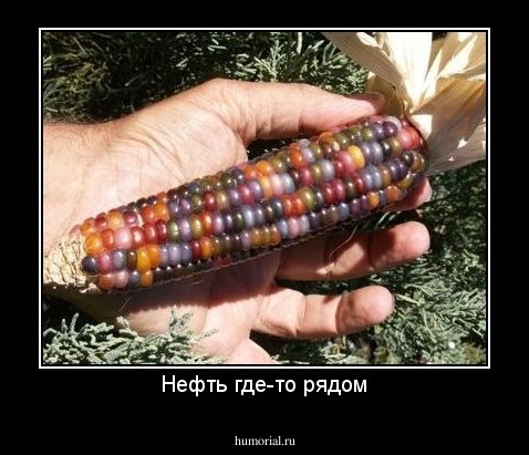 Нефть где-то рядом
