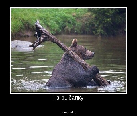 на рыбалку