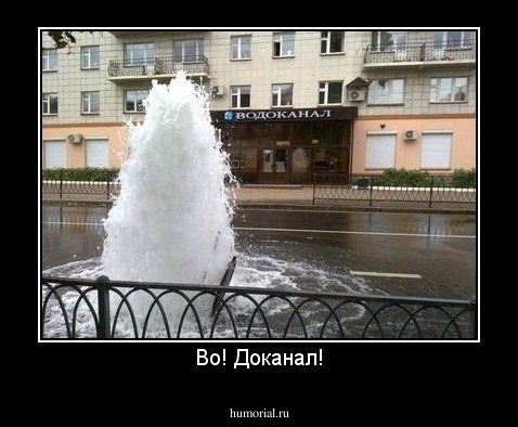 Во! Доканал!