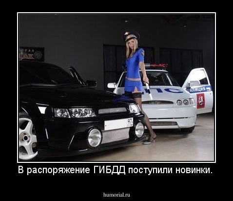 В распоряжение ГИБДД поступили новинки. 