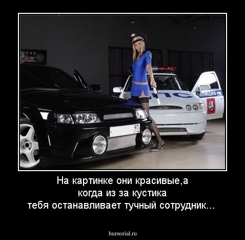 На картинке они красивые,а когда из за кустика тебя останавливает тучный сотрудник...