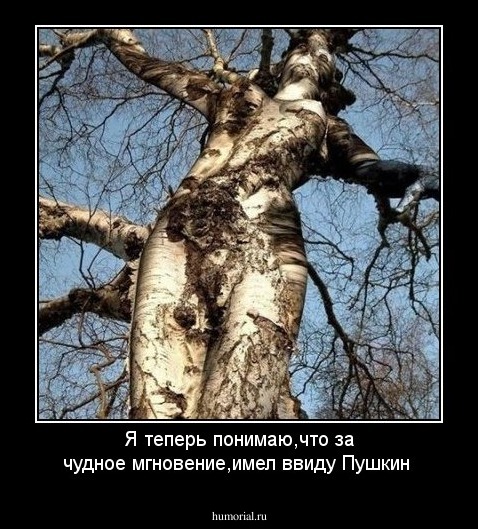 Я теперь понимаю,что за чудное мгновение,имел ввиду Пушкин