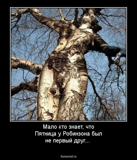 Мало кто знает, что Пятница у Робинзона был не первый друг...