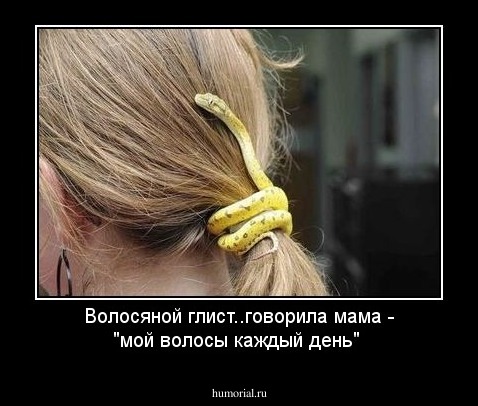 Волосяной глист..говорила мама - "мой волосы каждый день"