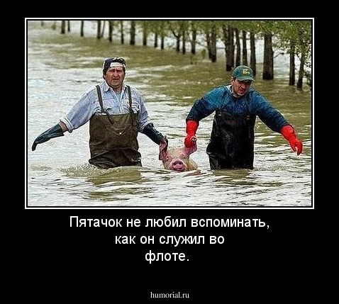 Пятачок не любил вспоминать, как он служил во флоте.
