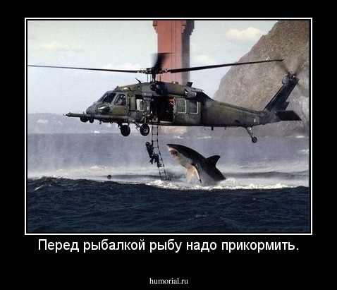 Перед рыбалкой рыбу надо прикормить.