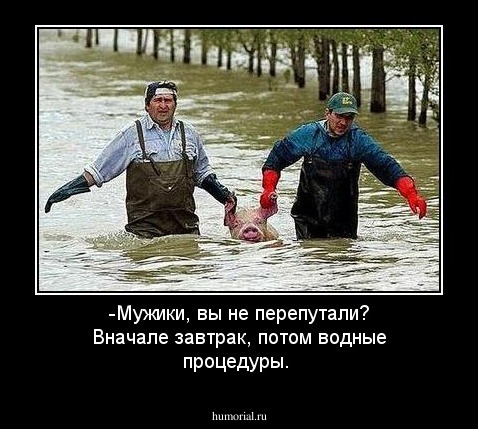 -Мужики, вы не перепутали? Вначале завтрак, потом водные процедуры.