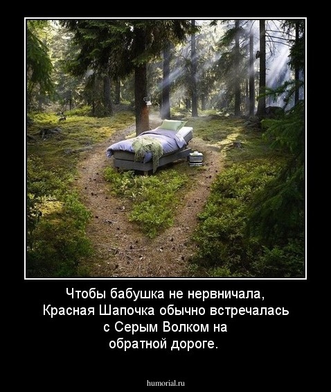Чтобы бабушка не нервничала, Красная Шапочка обычно встречалась с Серым Волком на обратной дороге.