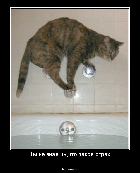 Ты не знаешь,что такое страх