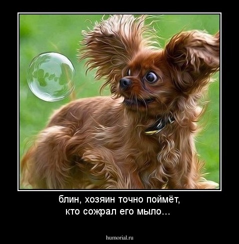 блин, хозяин точно поймёт, кто сожрал его мыло...