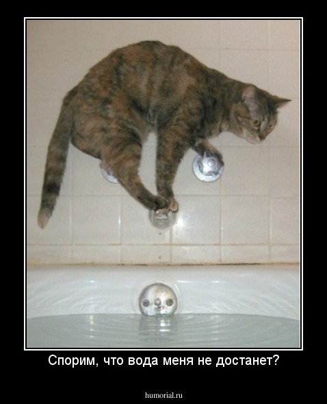 Спорим, что вода меня не достанет?
