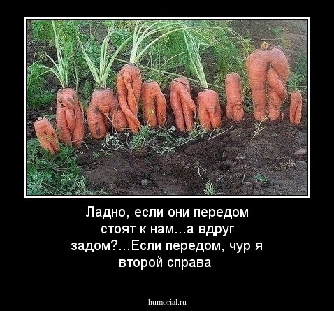 Ладно, если они передом стоят к нам...а вдруг задом?...Если передом, чур я второй справа