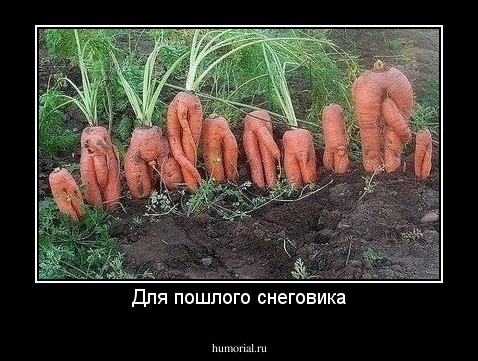 Для пошлого снеговика