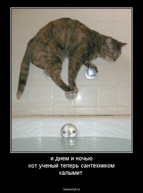 и днем и ночью кот ученый теперь сантехником калымит