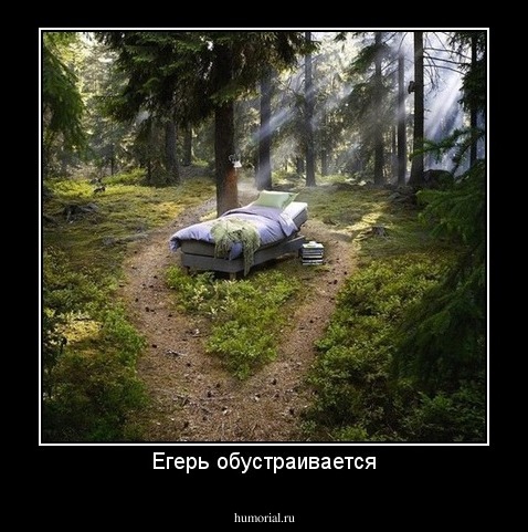 Егерь обустраивается