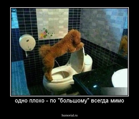 одно плохо - по "большому" всегда мимо