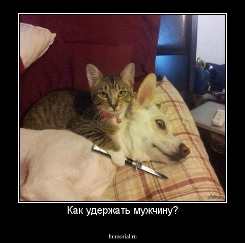 Как удержать мужчину?