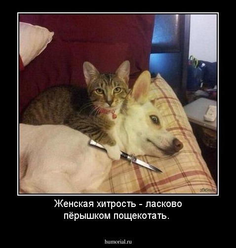 Женская хитрость - ласково пёрышком пощекотать.