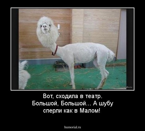 Вот, сходила в театр. Большой, Большой... А шубу сперли как в Малом!
