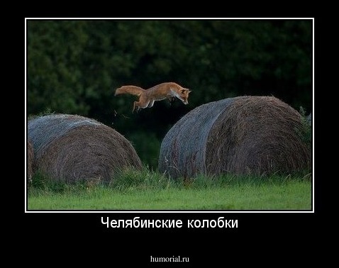 Челябинские колобки
