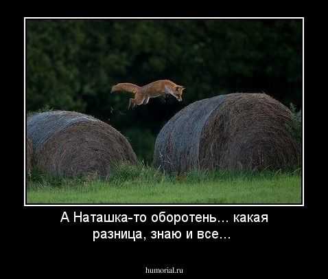 А Наташка-то оборотень... какая разница, знаю и все...