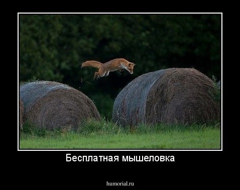 Бесплатная мышеловка