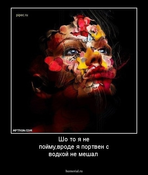 Шо то я не пойму,вроде я портвен с водкой не мешал