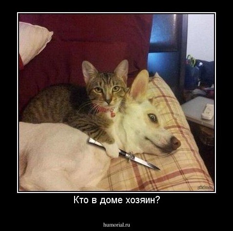 Кто в доме хозяин?