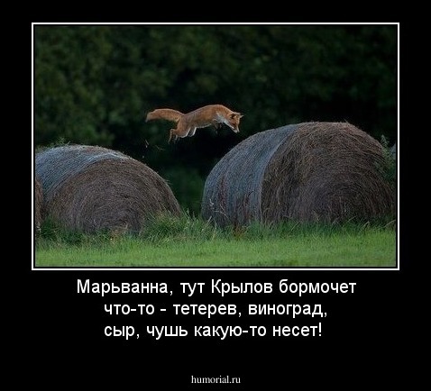 Марьванна, тут Крылов бормочет что-то - тетерев, виноград, сыр, чушь какую-то несет!