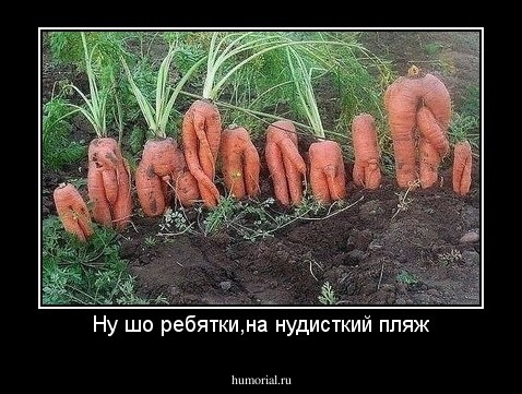 Ну шо ребятки,на нудисткий пляж
