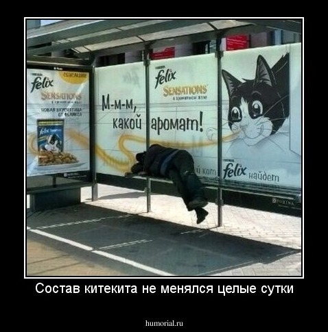 Состав китекита не менялся целые сутки